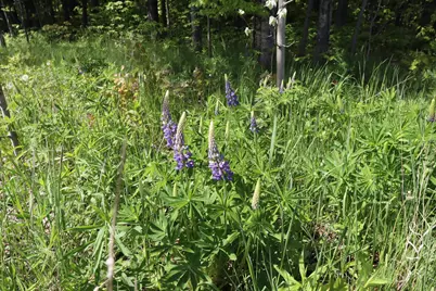 Lots 19 & 38 Eagle Run, Bayfield, WI 54814 - Photo 22