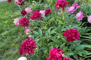 1910 Ponderosa Ave, Duluth, MN 55811 - Photo 54