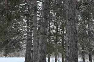 11285 Arkola Rd, Toivola, MN 55765 - Photo 6