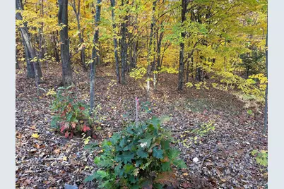 35365 Old Orchard Ln, Bayfield, WI 54814 - Photo 42