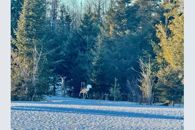 209Xx Highway 2, Mason, WI 54856 - Photo 4