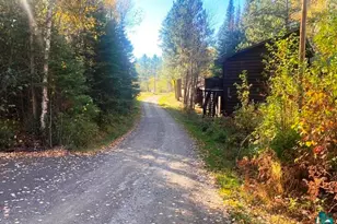 14649 Canadian Border Rd, Ely, MN 55731 - Photo 8