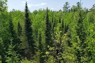 14632 Moose Lake Rd, Ely, MN 55731 - Photo 72