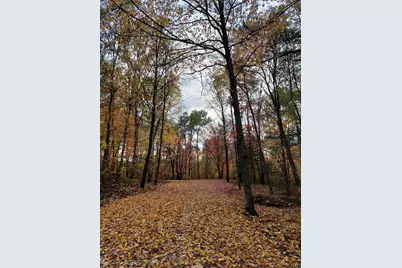 Tbd Voyageurs Tr, Biwabik, MN 55705 - Photo 10