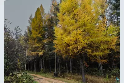 7839 Stromberg Rd, Embarrass, MN 55732 - Photo 4