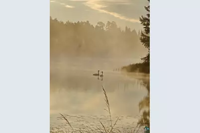 3420 Dewees Road, Babbitt, MN 55706 - Photo 50