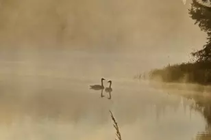 3420 Dewees Rd, Babbitt, MN 55706 - Photo 50