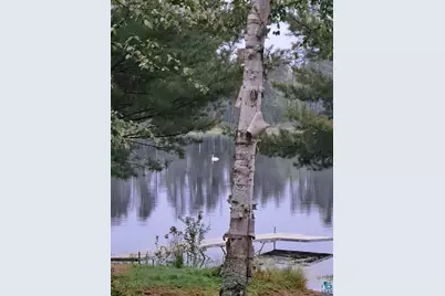 3420 Dewees Road, Babbitt, MN 55706 - Photo 46