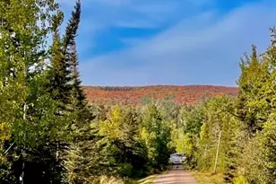 265 Mink Ranch, Lutsen, MN 55612 - Photo 30