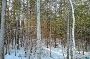 261 Caps Trail, Lutsen, MN 55612 - Photo 56