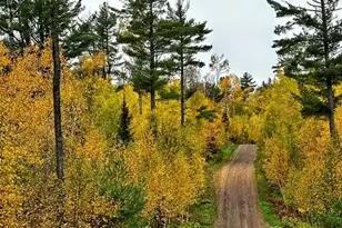 261 Caps Trail, Lutsen, MN 55612 - Photo 44