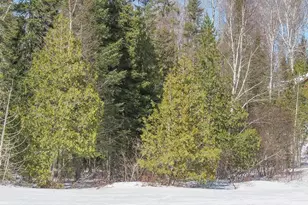 261 Caps Trail, Lutsen, MN 55612 - Photo 66