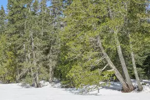 261 Caps Trail, Lutsen, MN 55612 - Photo 46