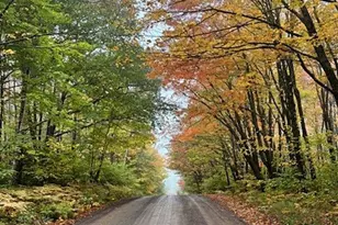 261 Caps Trail, Lutsen, MN 55612 - Photo 54