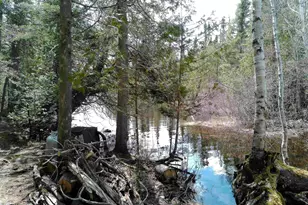 261 Caps Trail, Lutsen, MN 55612 - Photo 54