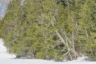 261 Caps Trail, Lutsen, MN 55612 - Photo 44