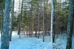 261 Caps Trail, Lutsen, MN 55612 - Photo 38