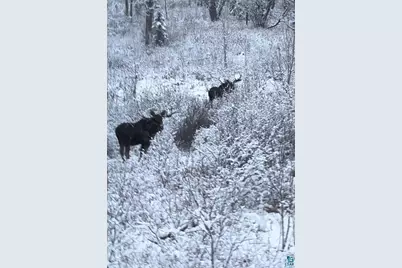 261 Caps Tr, Lutsen, MN 55612 - Photo 50