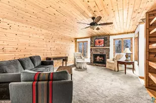 67 Snowshoe Trail, Tofte, MN 55615 - Photo 14