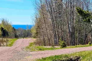 67 Snowshoe Trail, Tofte, MN 55615 - Photo 30