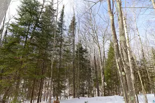 24550 State Hwy 13, Bayfield, WI 54814 - Photo 16