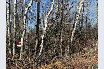Parcel A Parameter Rd, Deer River, MN 56636 - Photo 20
