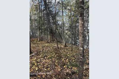 0000 Bass Lake Rd, Gilbert, MN 55741 - Photo 32