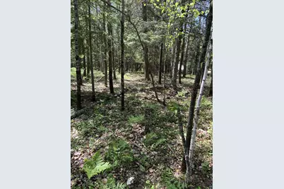 0000 Bass Lake Rd, Gilbert, MN 55741 - Photo 36