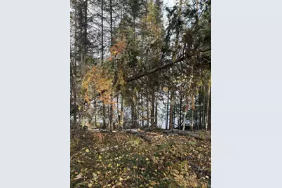 0000 Bass Lake Rd, Gilbert, MN 55741 - Photo 34