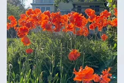 16 S 25th Ave E, Duluth, MN 55812 - Photo 58