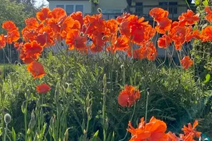 16 S 25th Ave E, Duluth, MN 55812 - Photo 58