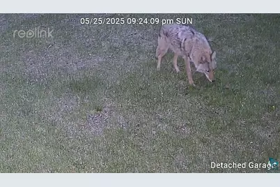 13462 Villa Rd, Ely, MN 55731 - Photo 58