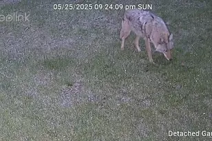 13462 Villa Rd, Ely, MN 55731 - Photo 58