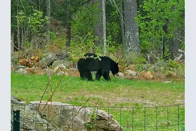 13462 Villa Rd, Ely, MN 55731 - Photo 52