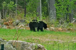 13462 Villa Rd, Ely, MN 55731 - Photo 52