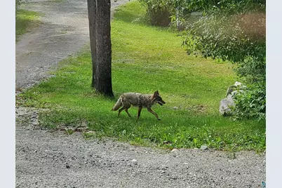 13462 Villa Rd, Ely, MN 55731 - Photo 56