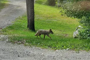 13462 Villa Rd, Ely, MN 55731 - Photo 56