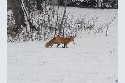 13462 Villa Rd, Ely, MN 55731 - Photo 50