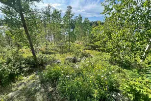 15 Blankenburg Ln, Grand Marais, MN 55604 - Photo 46