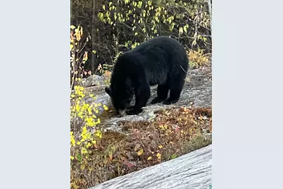 15 Blankenburg Ln, Grand Marais, MN 55604 - Photo 48