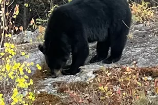 15 Blankenburg Ln, Grand Marais, MN 55604 - Photo 48