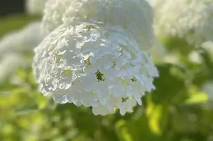 4025 Gladstone St, Duluth, MN 55804 - Photo 34