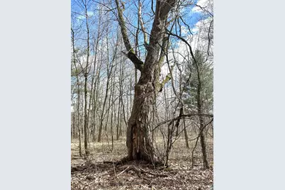 Tax Id 21 Hwy 63, Shell Lake, WI 54871 - Photo 14