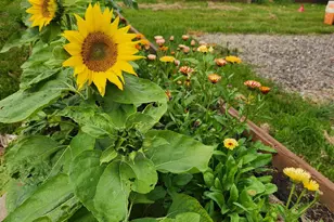 118 Meadowbrook Ln, Esko, MN 55573 - Photo 64