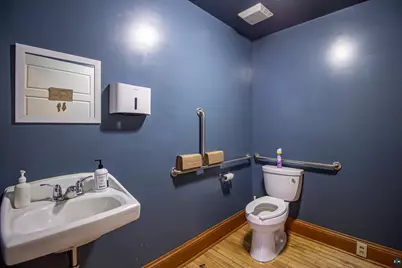 229 E Sheridan St, Ely, MN 55731 - Photo 36