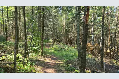 Tbd33 Donovan Point, Orr, MN 55771 - Photo 40