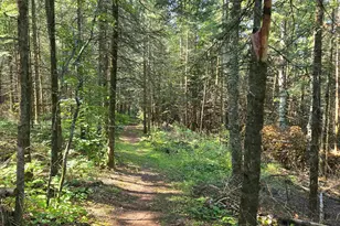 Tbd33 Donovan Point, Orr, MN 55771 - Photo 40