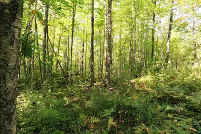 Xxx County Hwy C, Washburn, WI 54891 - Photo 8