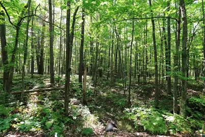 Xxx County Hwy C, Washburn, WI 54891 - Photo 10