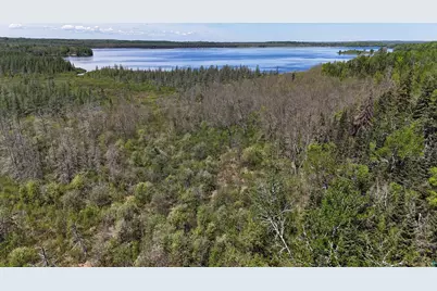 Tbd 21 Nett Lake Rd, Orr, MN 55771 - Photo 12